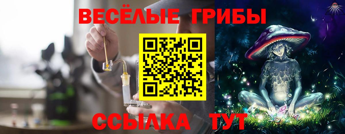 Галлюциногенные грибы Psilocybine cubensis  Вход с VPN  Галлюциногенные грибы Psilocybine cubensis  Муром 